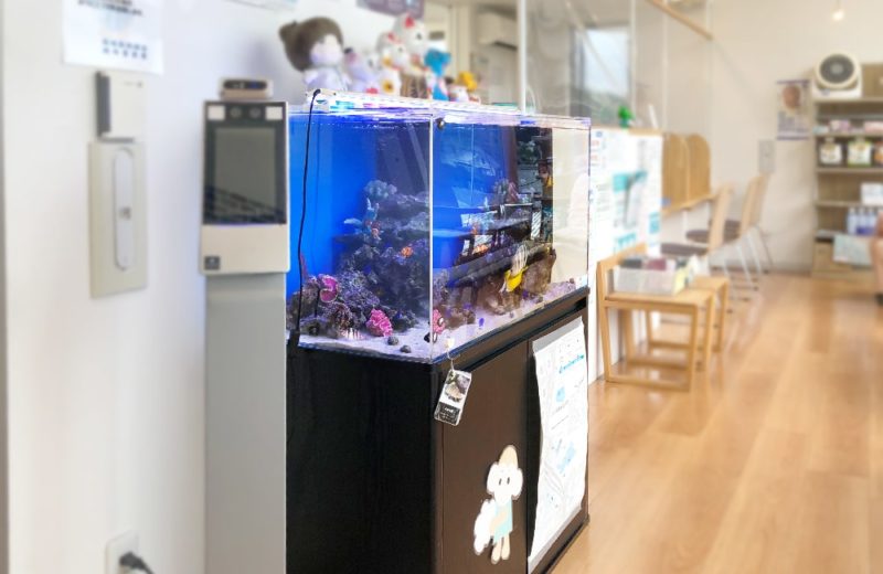 愛知県 なのはな薬局様 水槽レンタル事例 90cm海水魚水槽を設置しました 水槽画像5