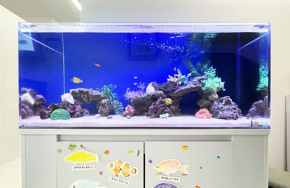 きっずあいらんど ふたば中川教室様 120cm海水魚水槽 水槽レンタル事例