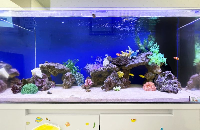 きっずあいらんど ふたば中川教室様　120cm海水魚水槽 水槽レンタル事例 水槽画像３