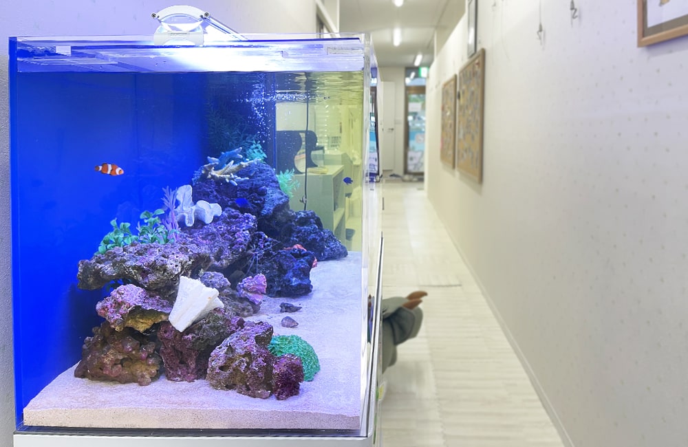 水槽レンタル 事例 実例