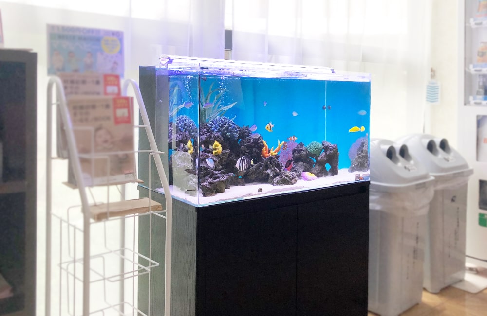水槽メンテナンス 海水