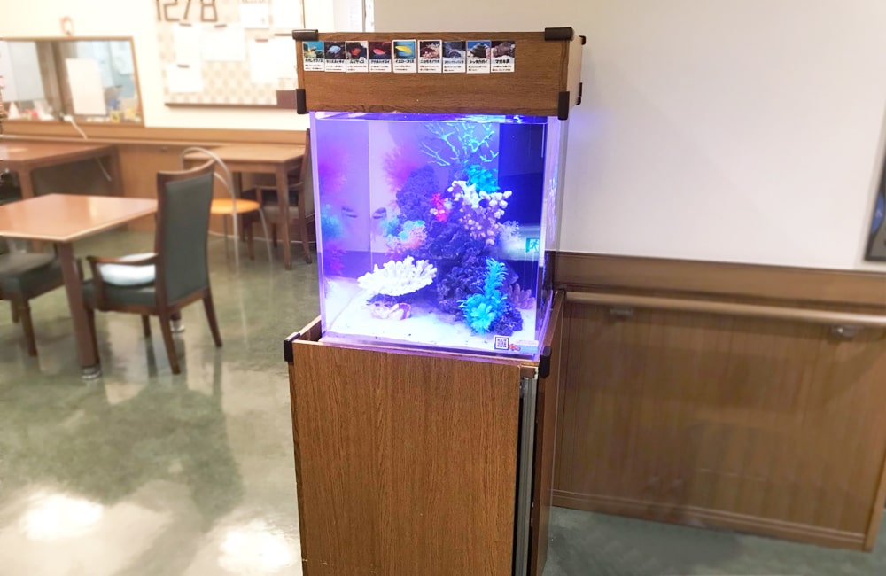 老人ホーム 海水魚水槽 レンタル