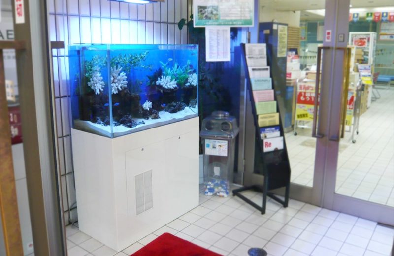 スポーツクラブ ルネサンス早稲田店様 90cm海水魚水槽 レンタル事例 水槽画像1