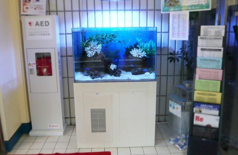 スポーツクラブ ルネサンス早稲田店様 90cm海水魚水槽 レンタル事例 水槽画像2