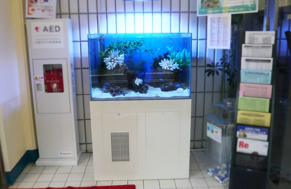 AEDの横に設置された青い背景の海水魚水槽