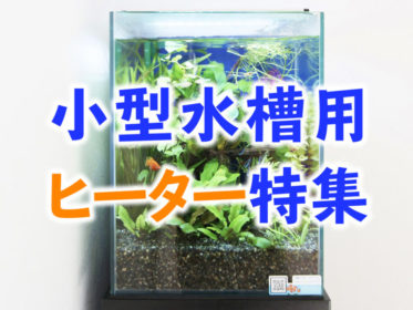 水槽用小型ヒーター特集！小さな容器にも使える水槽用ヒーター5選と注意点！