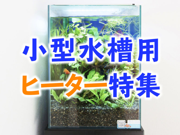 小型水槽用ヒーター特集の文字と水草が植えられた小型水槽