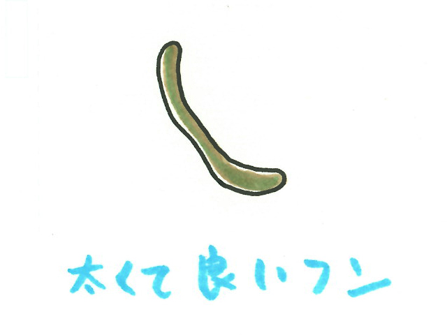 太くて良いフンと書かれた文字と緑色のフンのイラスト