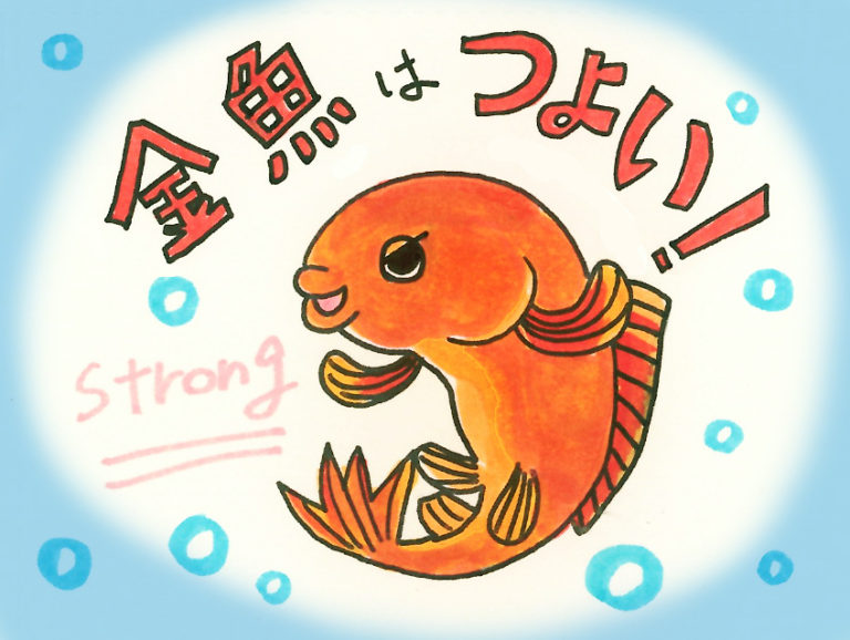 金魚はつよい!の文字とオレンジ色の金魚のイラスト