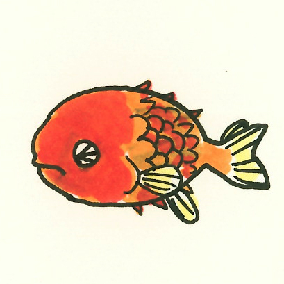 オレンジ色で丸い体型の金魚の手書き風イラスト