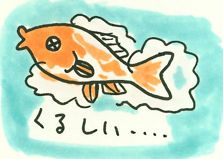 くるしいの文字と苦しそうな表情の金魚のイラスト