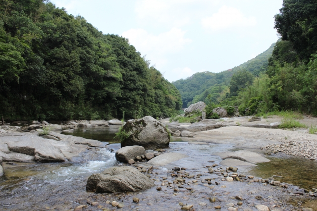 大きな岩が点在する山間の川と周囲を囲む深い森林の風景