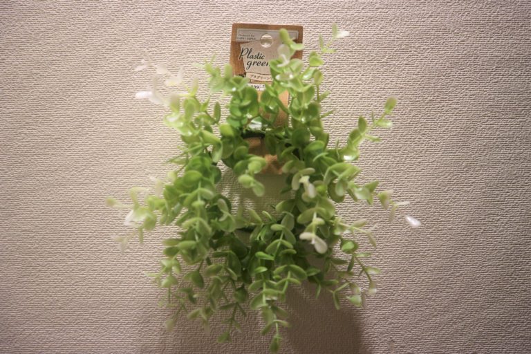 壁に掛けられた緑色の人工観葉植物のリース