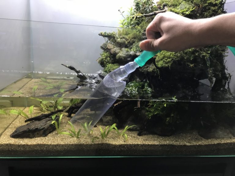 クリーナーポンプで水槽の底砂を掃除する手元画像
