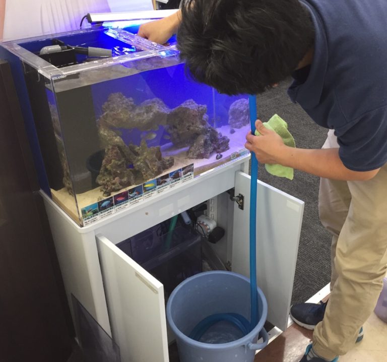 ホースとバケツで海水魚水槽の換水作業を行うスタッフ