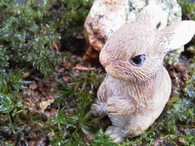 苔の上に置かれたウサギの置物と背後の石のレイアウト