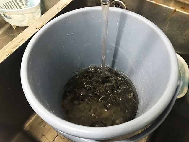 シンク内のバケツで底砂を水洗いする様子