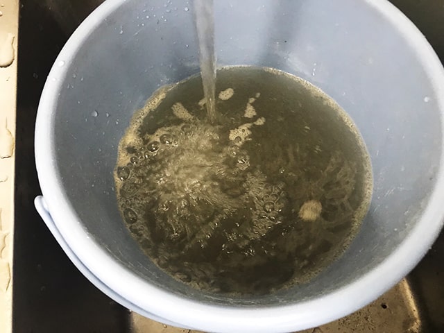 青いバケツに注がれる濁った飼育水と水面の泡