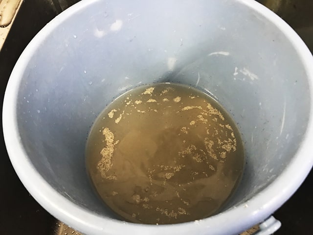 バケツに入った水槽掃除後の茶色く濁った飼育水
