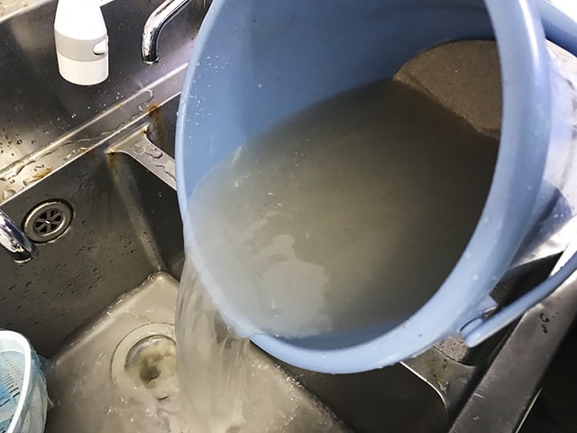 青いバケツからシンクへ濁った飼育水を捨てる様子