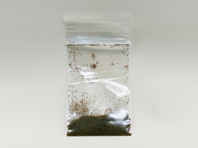 チャック付きポリ袋に入った茶色の細かな魚の餌