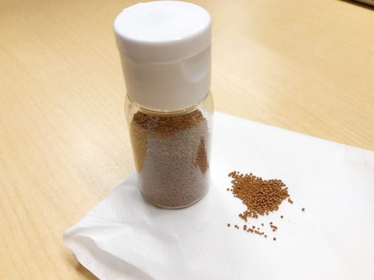 白い蓋の透明容器に入った茶色の顆粒状の魚の餌