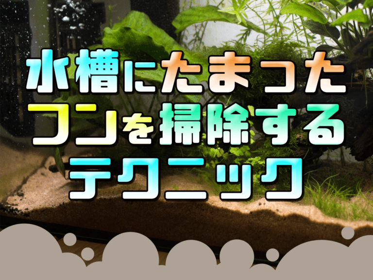 水槽にたまったフンを掃除するテクニックの見出し画像