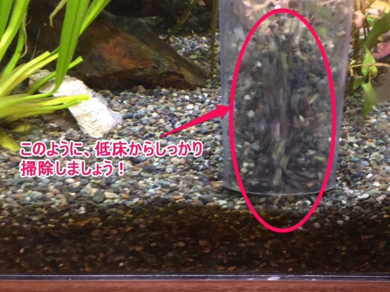 低床からしっかり掃除しましょうの文字と砂利を洗う様子
