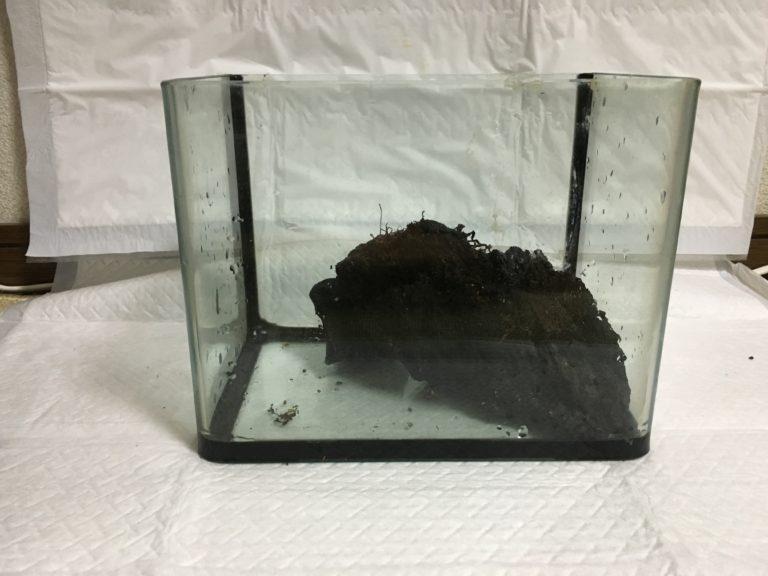 空の水槽内に置かれた黒い塊のレイアウト素材