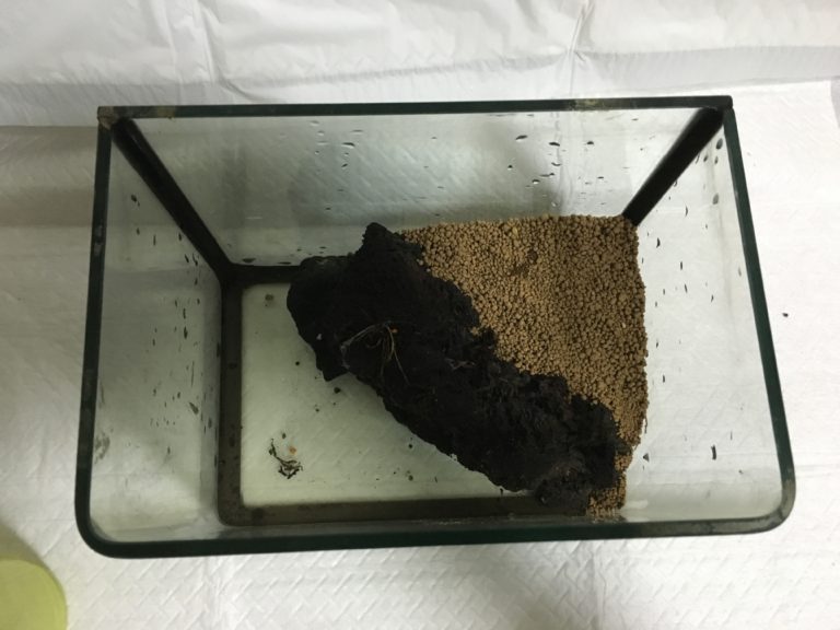 空の水槽内に配置された流木と底砂の俯瞰図