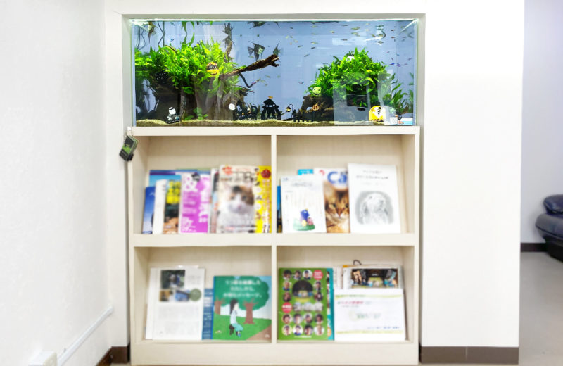 クリニック 壁埋め込み式 120cm淡水魚水槽 販売メンテナンス事例 現在の様子 水槽画像2