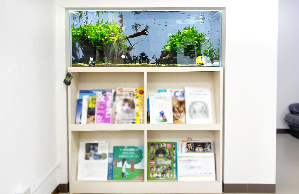 本棚の上に設置された水草と熱帯魚の大型水槽