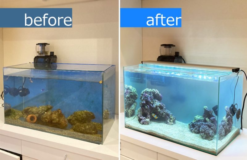 ご自宅の水槽をフルリニューアル 60cm海水魚水槽 水槽リニューアル事例 水槽画像3