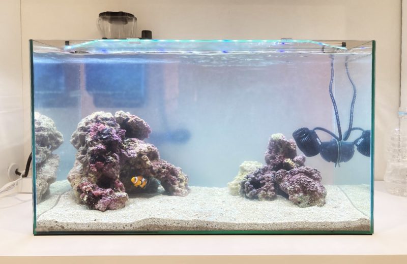 ご自宅の水槽をフルリニューアル 60cm海水魚水槽 水槽リニューアル事例 水槽画像1