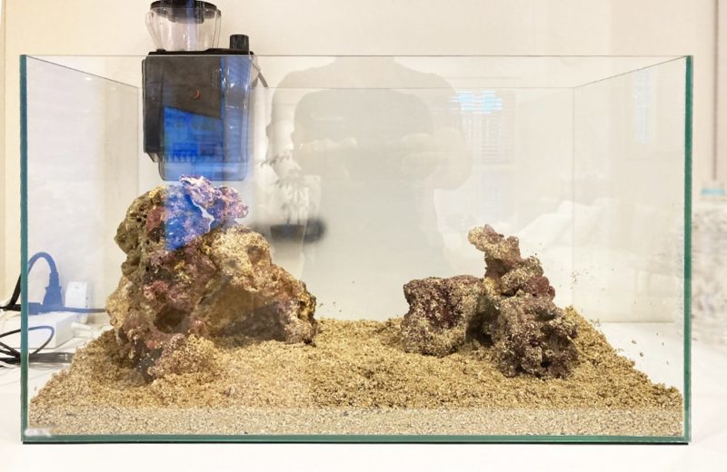 ご自宅の水槽をフルリニューアル 60cm海水魚水槽 水槽リニューアル事例 水槽画像4