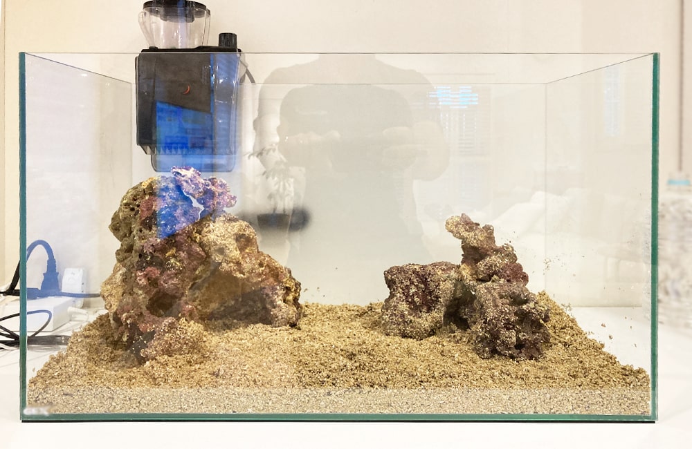 ライブロックと砂を配置した小型海水魚水槽のセットアップ