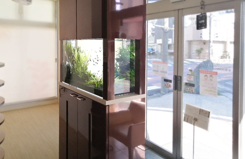 一風変わったパーテーション埋め込み水槽
