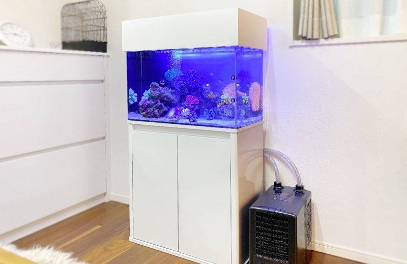 岐阜県 ご自宅に設置 60cm海水魚水槽 水槽レンタル事例 水槽画像1