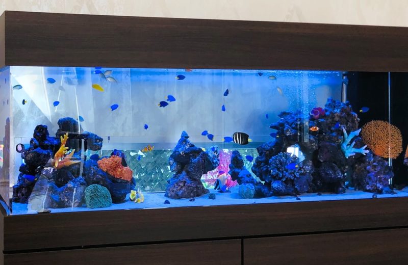愛知県名古屋市　クリニック様　華やかな150cm海水魚水槽　水槽レンタル事例 水槽画像３