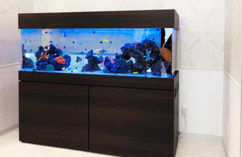 愛知県名古屋市　クリニック様　華やかな150cm海水魚水槽　水槽レンタル事例 水槽画像４