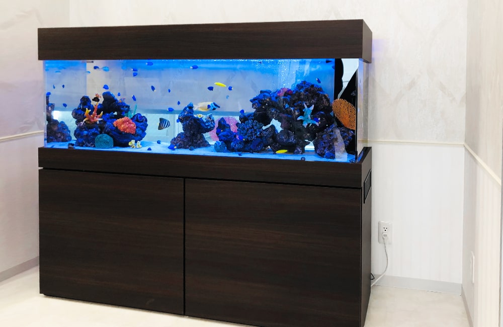 水槽レンタル 海水魚水槽 設置場所