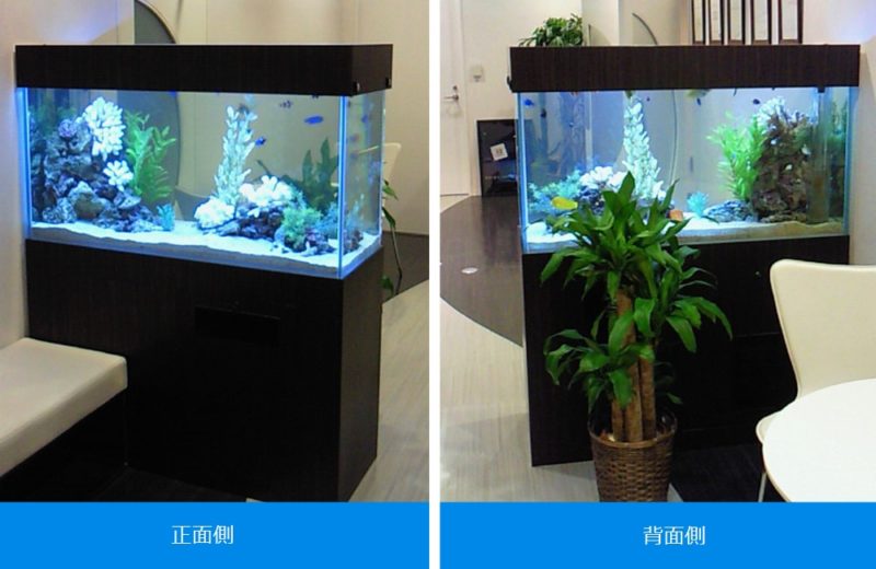 企業様 オフィスの商談スペース 120cm海水魚水槽 レンタル事例 水槽画像2