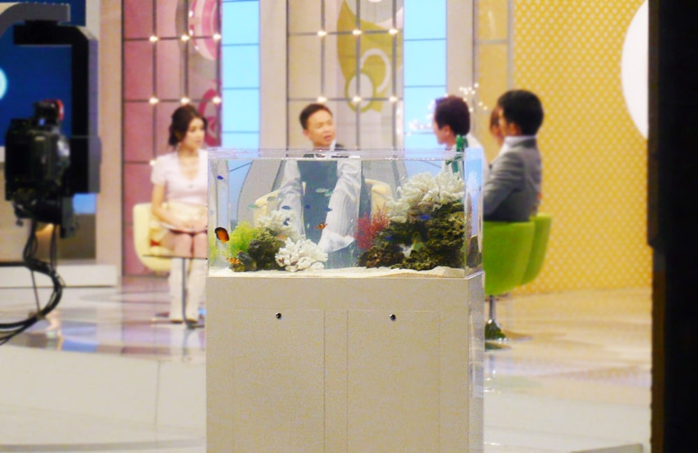 テレビスタジオに設置された海水魚水槽と出演者
