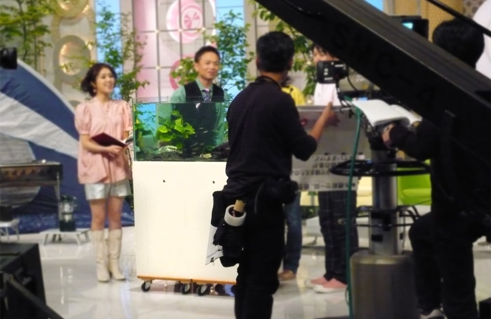 テレビスタジオに設置された水槽と撮影スタッフの風景