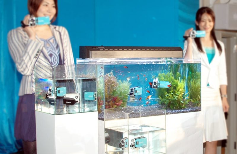 新作発表会に水槽を設置 90cm淡水魚水槽 短期水槽レンタル事例 水槽画像1