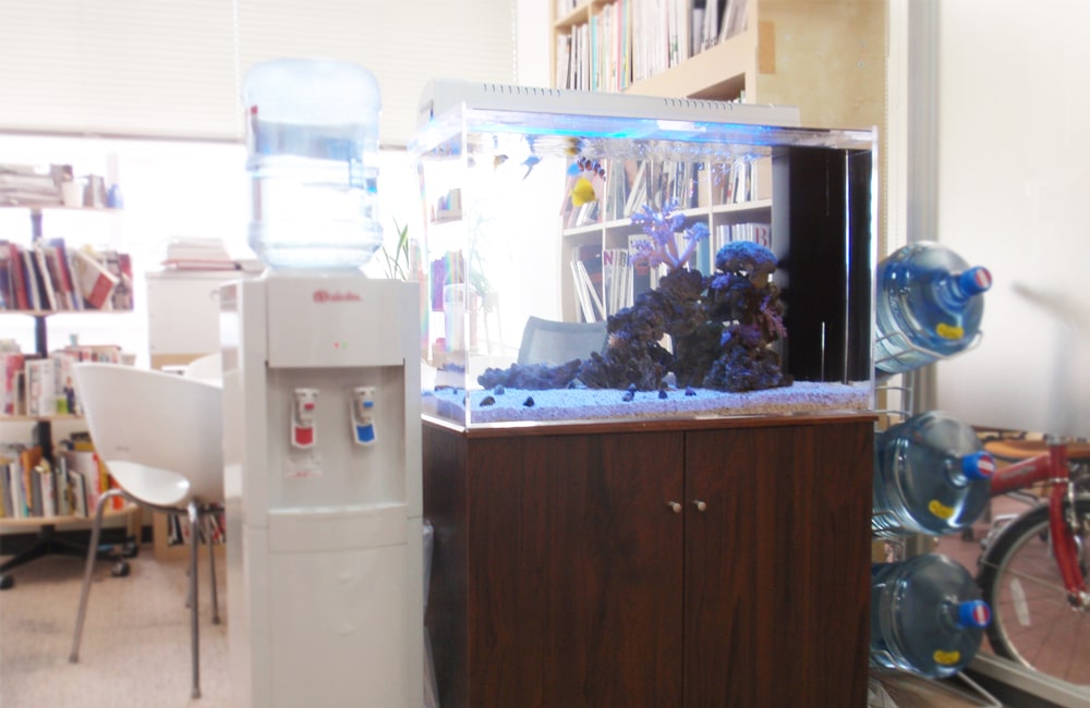 東京都中央区 オフィス 海水魚水槽 販売・水槽リニューアル事例のサムネイル画像