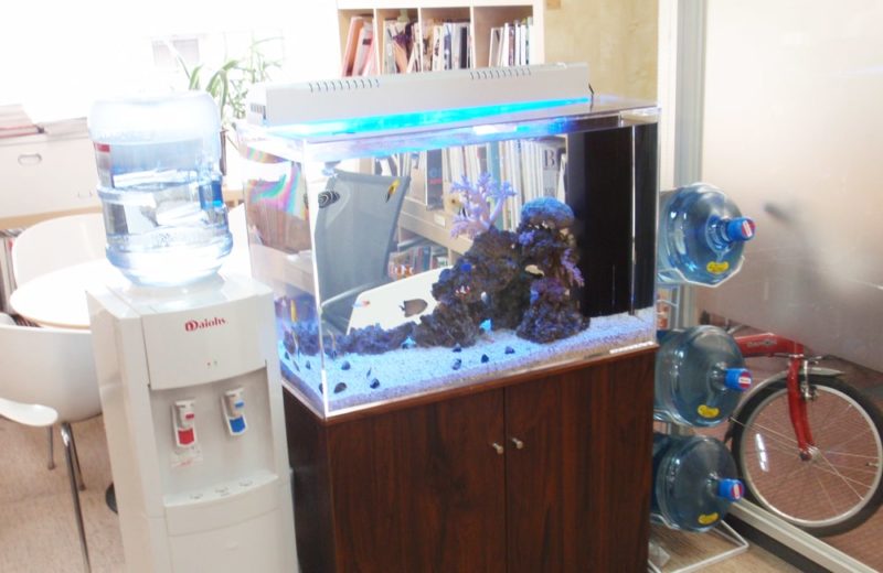 東京都中央区 オフィス 海水魚水槽 販売・水槽リニューアル事例 水槽画像3