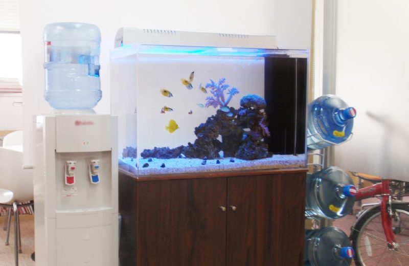 東京都中央区 オフィス 海水魚水槽 販売・水槽リニューアル事例 水槽画像2