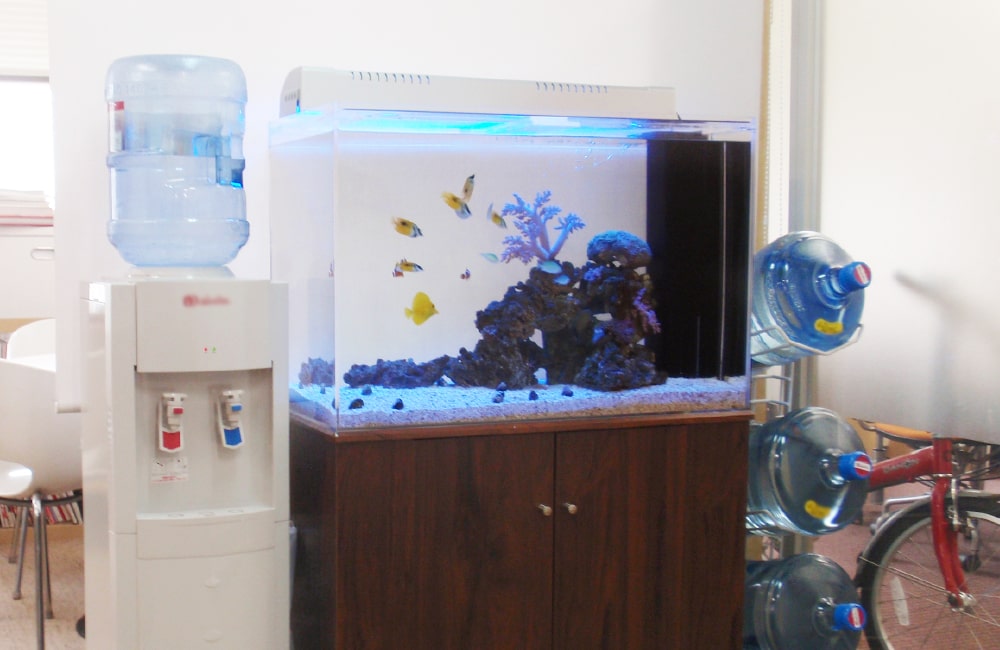 ウォーターサーバーの横に設置された海水魚水槽の全景