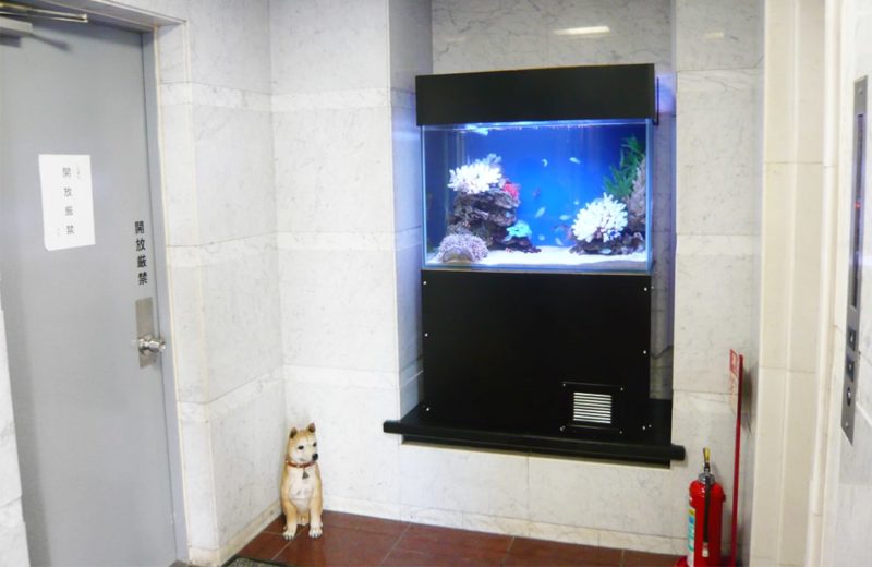 企業ビル ホーム 90cm海水魚水槽 水槽レンタル事例 水槽画像1